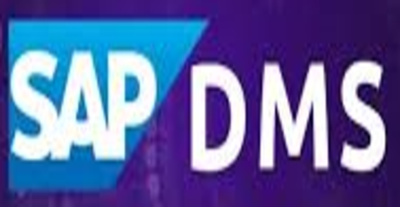SAP Document Management System (DMS) Module